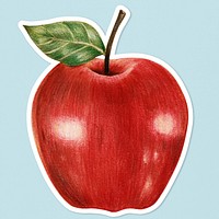Apple fruit illustration psd summer fruit sticker