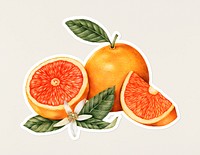 Hand drawn tangerine fruit sticker with a white border on a white background