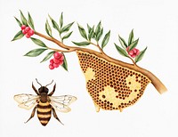 Illustration drawing style of bee hive
