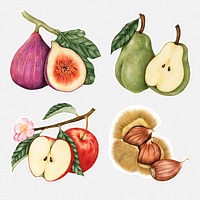 Hand drawn fruit and chestnut sticker with a white border set