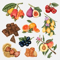 Hand drawn fruit sticker design element set