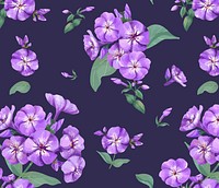 Hand drawn purple phlox pattern