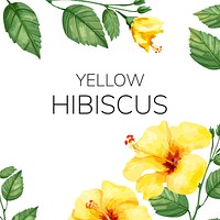 Hand drawn yellow hibiscus flower