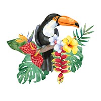 Hand drawn toucan bird with tropical flowers