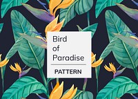 Hand drawn bird of paradise pattern