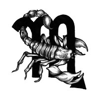 Hand drawn horoscope symbol of Scorpio illustration