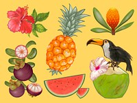 Tropical fruits and flower illustration