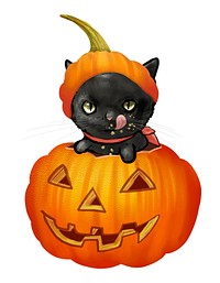 Illustration of a black cat in pumpkin vector for Halloween