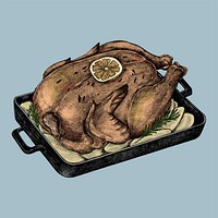 Illustration of a roasted chicken