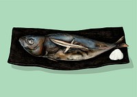 Illustration of Japanese Fish Dish
