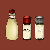 Illustration of Japanese ingredients
