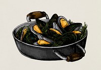 Hand drawn cooked mussels