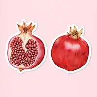 Fresh red pomegranate illustration psd food drawing