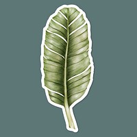 Vintage green leaf psd drawing illustration sticker