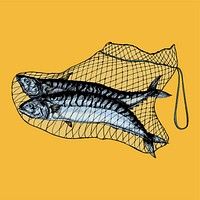 Hand drawn catched mackerels on the net