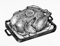 Hand-drawn roasted chicken