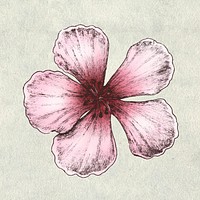 Hand drawn of sakura flower