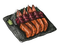 Hand drawn salmon sashimi dish