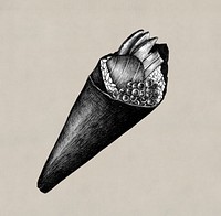 Hand drawn temaki cone-shaped sushi