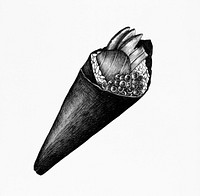 Hand drawn temaki cone-shaped sushi