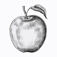 Hand drawn fresh apple vector