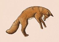 Vintage furry brown fox drawing