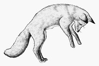 Cute hand drawn fox vector
