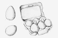 Hand drawn a box of raw eggs vector