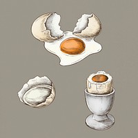 Cracked eggshell and boiled egg