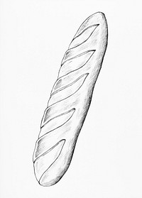 Hand drawn freshly bake baguette illustration
