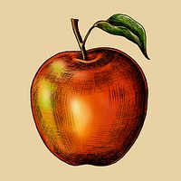 Fresh ripe red apple vector