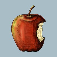 Red ripe bitten apple illustration