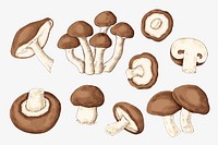 Fresh organic mushroom collection vector