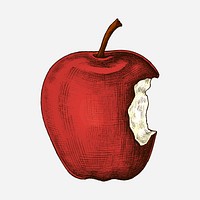 Fresh ripe bitten red apple illustration