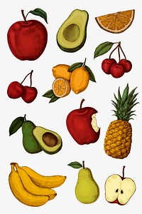 Ripe colorful juicy fruit collection vector