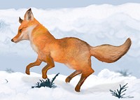 Fox treading through the snow illustration