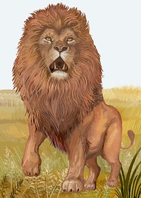 Almighty roaring lion in the jungle vector