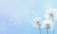 Hand drawn dandelions with a blue sky illustration