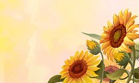 Hand drawn sunflowers on a yellow background illustration