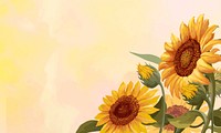 Hand drawn sunflowers on a yellow background vector