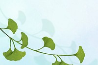 Green ginkgo leaf framed background