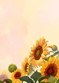 Hand drawn sunflower on a yellow background vector