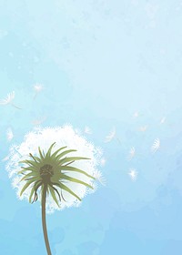 Hand drawn dandelions with a blue sky background vector