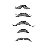 Hand drawn moustache isolated on white background