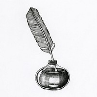 Hand drawn quill isolated on background