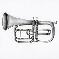 Hand drawn trumpet isolated on background