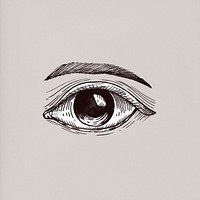 Human eye vintage style illustration