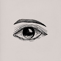 Hand drawn eye isolated on white background