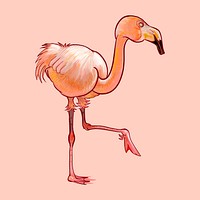 Pink flamingo isolated on a pink background
