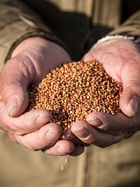 Agriculture Secretary Sonny Perdue visits Sorghum Farm and Mill and meets with owner Danny Townsend to discuss opportunities and challenges for veterans in agriculture.